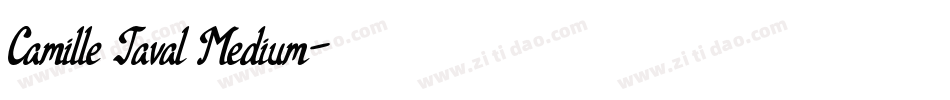 Camille Javal Medium字体转换